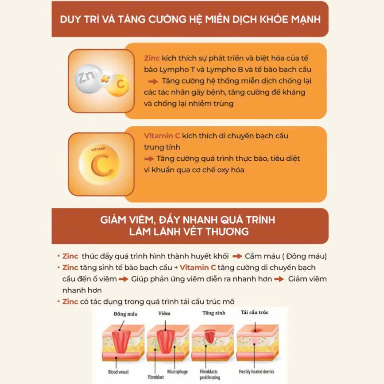 Siro Tăng Đề Kháng Zentokid Zinc Bổ Sung Kẽm và Vitamin C Tự Nhiên Cho Bé (Hộp 20 ống)