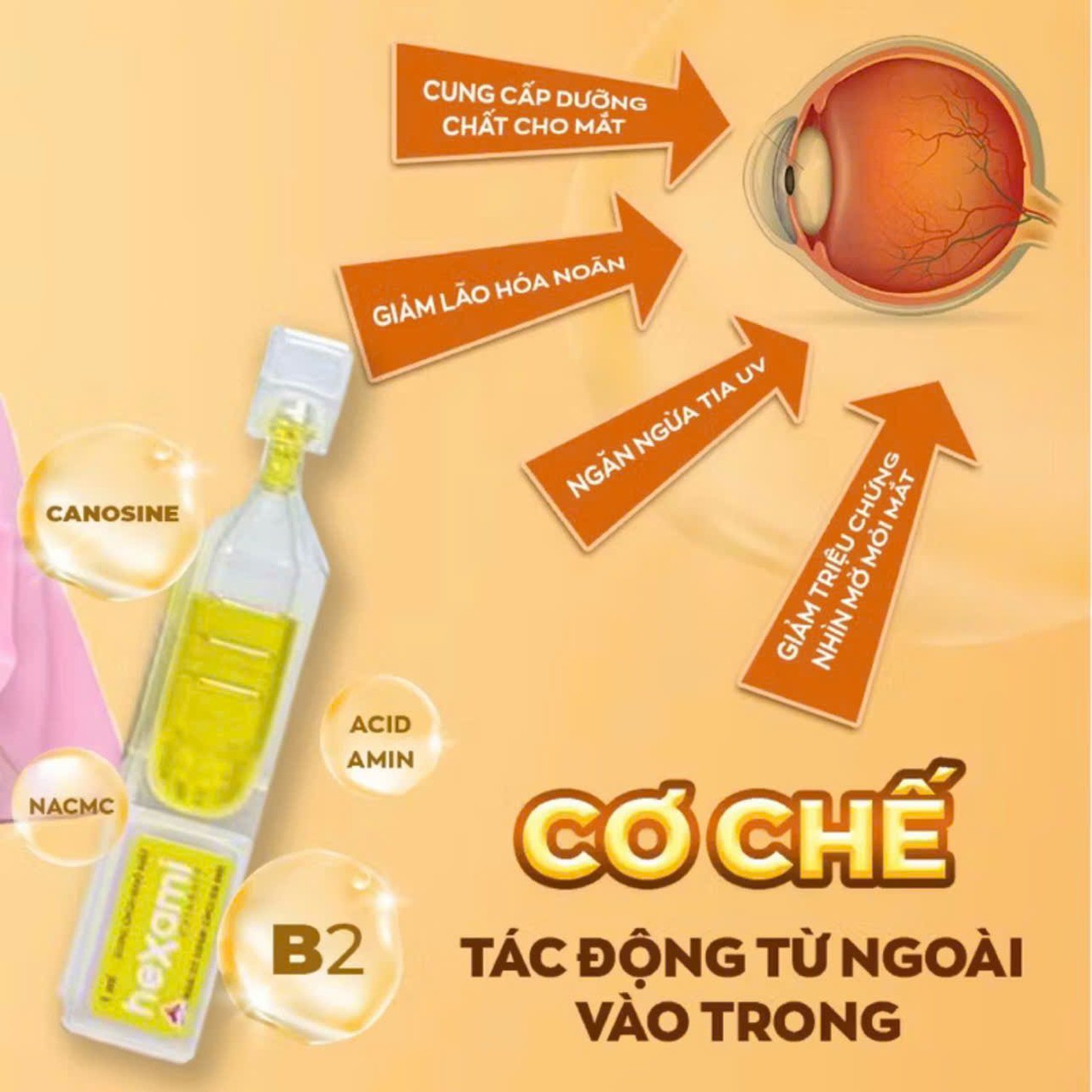 Nhỏ Mắt Hexami Cataract Ngăn Ngừa Và Cải Thiện Đục Thủy Tinh Thể Giảm Mờ Nhòe, Dưỡng Ẩm, Phục Hồi Mắt (Hộp 20 Tép) 