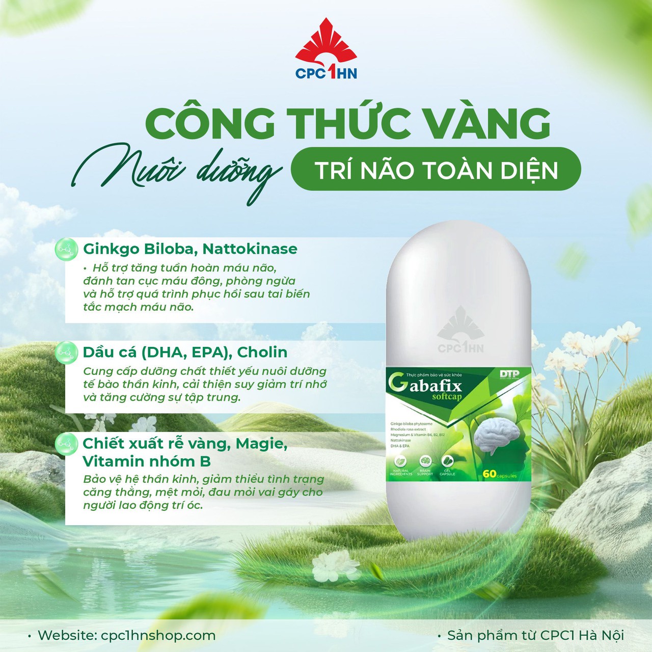 Viên Bổ Não Gabafix Hoạt Huyết, Hỗ Trợ Tăng Cường Tuần Hoàn Máu Não Và Cải Thiện Trí Nhớ (Hộp 30 viên)