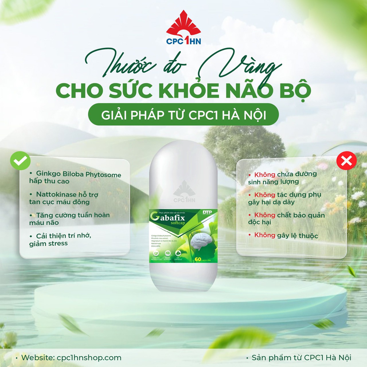 Viên Bổ Não Gabafix Hoạt Huyết, Hỗ Trợ Tăng Cường Tuần Hoàn Máu Não Và Cải Thiện Trí Nhớ (Hộp 30 viên)
