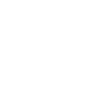 Fast Delivery