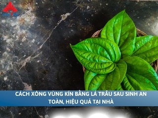 Cách xông lá trầu vùng kín sau sinh trị viêm, se khít hiệu quả