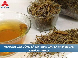 Men gan cao uống lá gì? Top 5 loại lá hạ men gan chuẩn y khoa