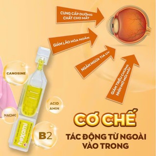 Nhỏ Mắt Hexami Cataract Ngăn Ngừa Và Cải Thiện Đục Thủy Tinh Thể Giảm Mờ Nhòe, Dưỡng Ẩm, Phục Hồi Mắt (Hộp 20 Tép)  - thumbnail 4