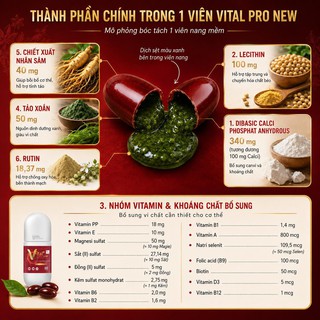 Viên uống Vital Pro New bổ sung vitamin và nhân sâm cải tiến mới, hỗ trợ tăng sức đề kháng, giảm mệt mỏi uể oải (Lọ 30 viên, 60 viên) - thumbnail 2